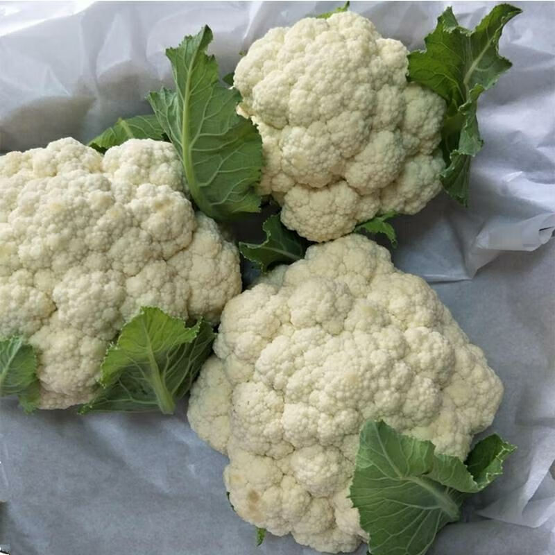 5斤现新鲜花菜球白菜花散花蔬菜批发1斤华海春 现花菜五斤零下地区