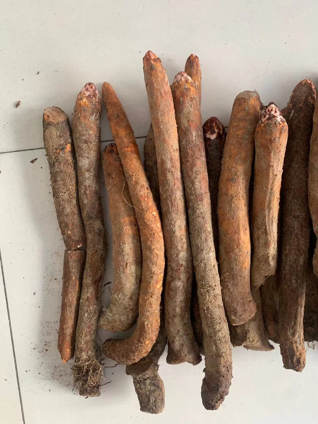 新鲜锁阳整根沙漠中药材男甘肃瓜州肉苁蓉淫羊藿滋补泡酒料泡茶 1斤