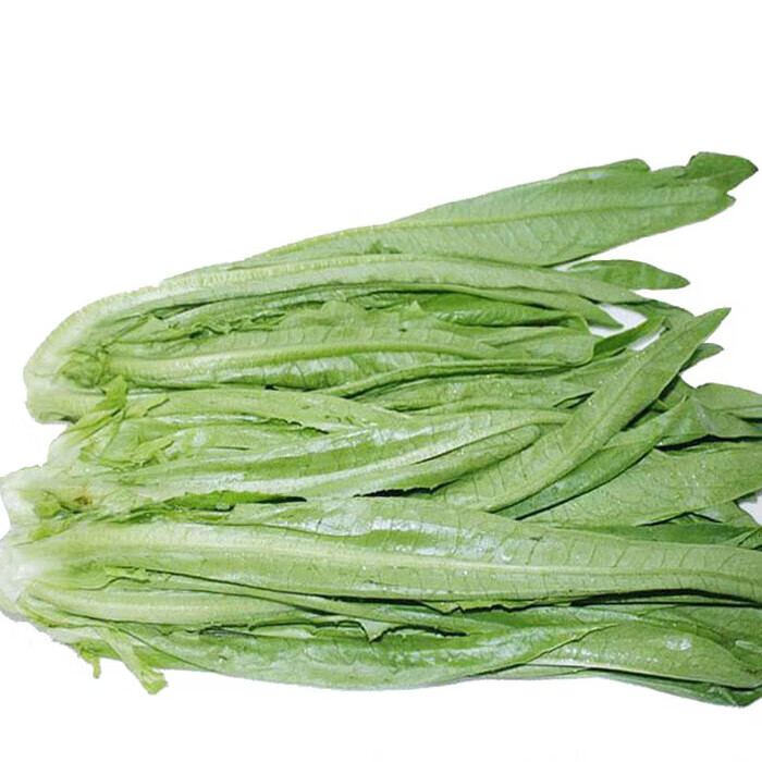 油麦菜5斤油荬香水生菜当季青菜四季农家自种时令蔬菜3生鲜 1500g