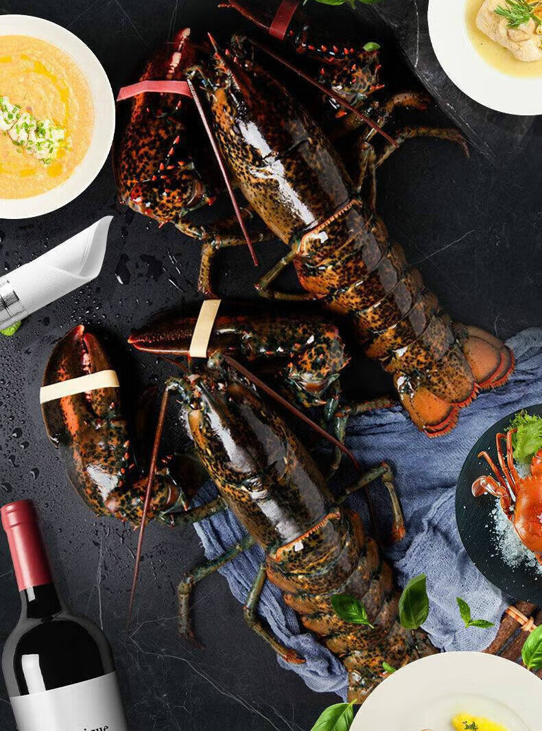 龙虾鲜活波士顿大龙虾特大波龙澳龙青岛海鲜水产加拿大龙虾仔 900