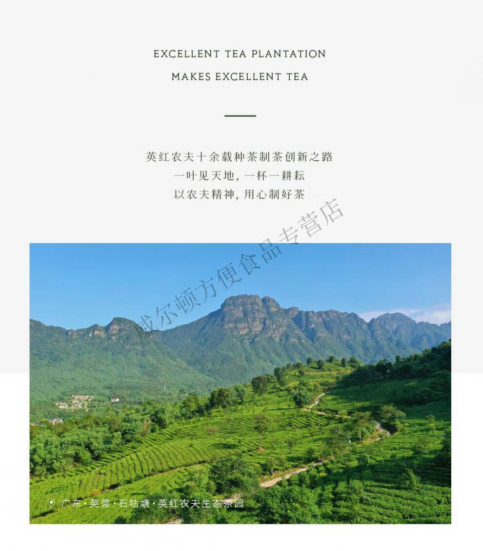 英红九号 茶叶 绿茶 红茶2