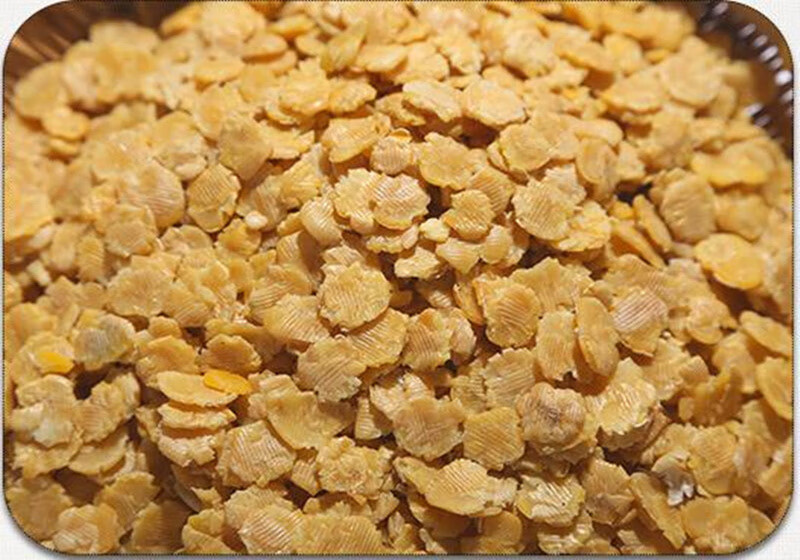 黄豆扁 豆钱农家自种豆扁豆片5斤装 山东特产豆钱子农家种植黄豆五谷