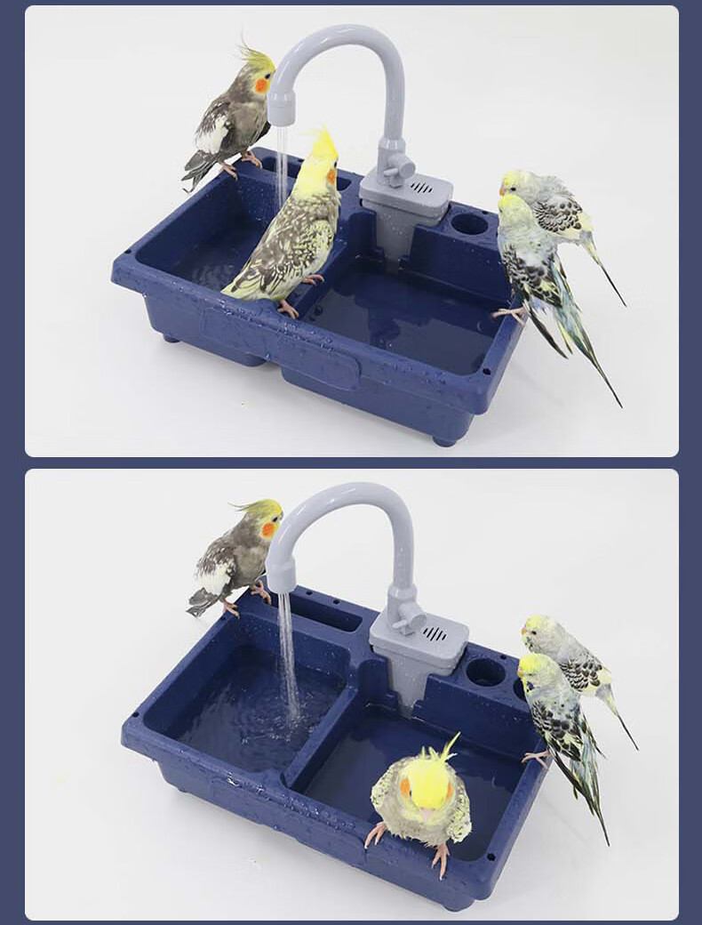 鸟用游泳池 鹦鹉洗澡盆 小鸟沐浴盆鸟类洗澡淋浴盆洗澡笼鹦鹉用品