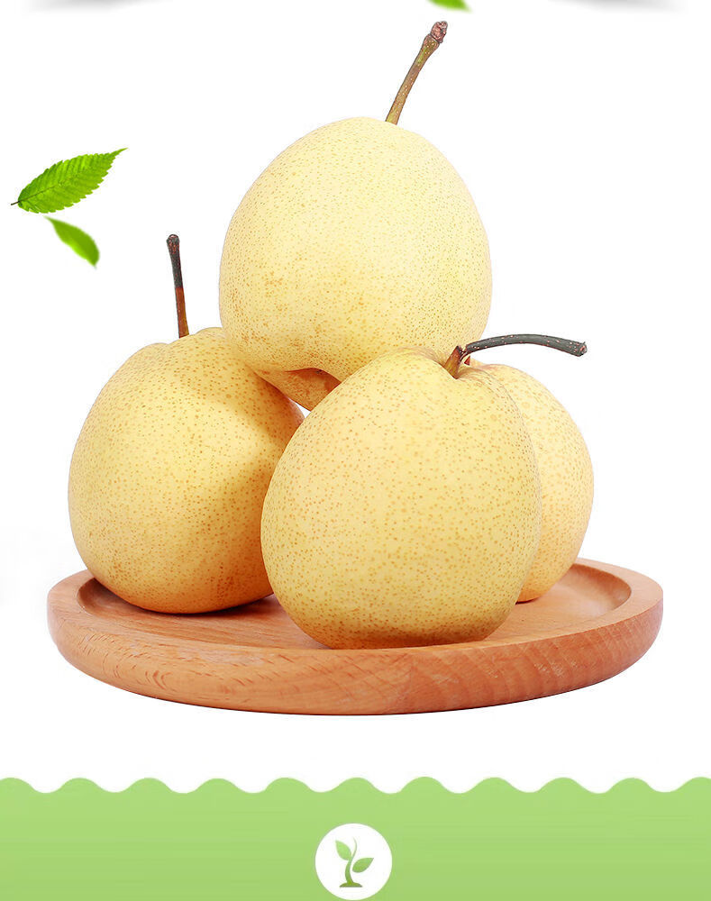 贵妃鲜陕西整箱批发10斤薄皮超甜新鲜水果冰糖雪梨一级品质泡沫箱坏果
