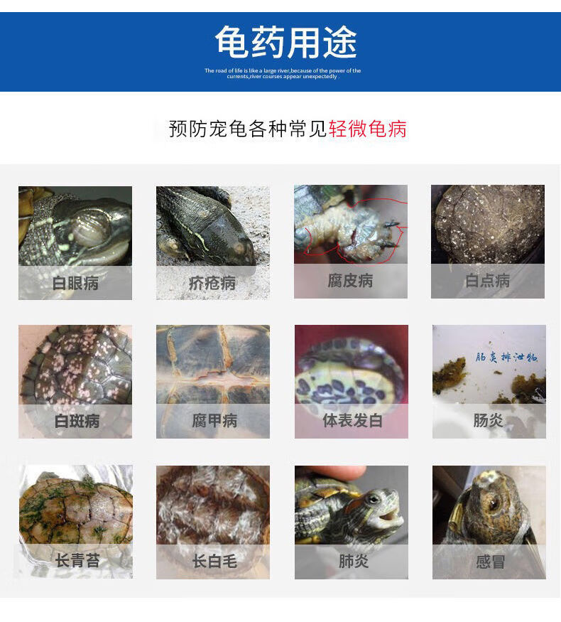 乌龟用品鳄龟药巴西龟护龟液草龟白眼消毒鳖菌灵腐皮腐甲 试用装30ml