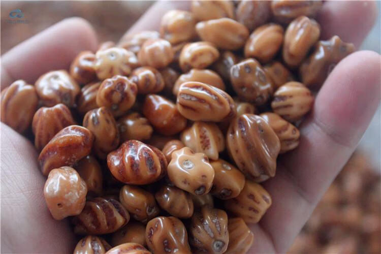 【闪电发货】龙骨手串 厂家出售风化龙骨菩提108颗佛珠手串文玩diy