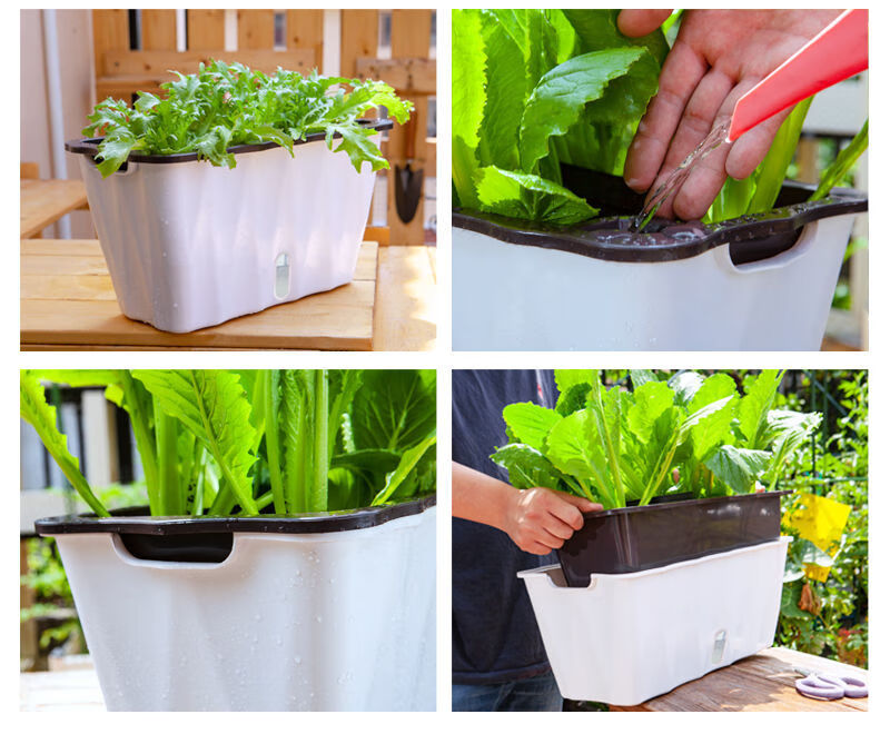 懒人种菜花盆种菜神器自吸水花盆特大花槽阳台盆栽塑料树脂绿萝盆营养