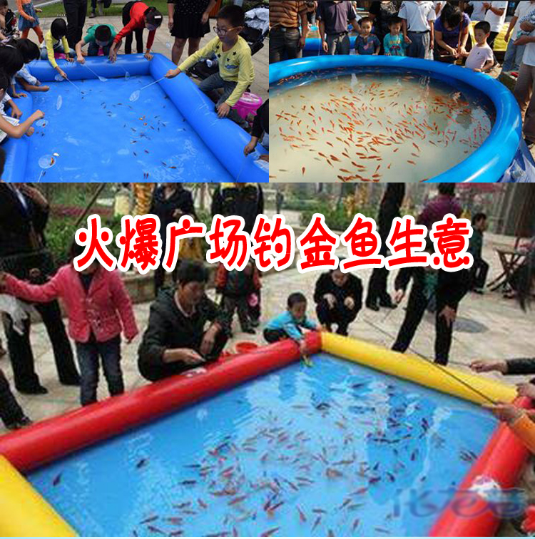 钓金鱼生意套装钓活鱼捞鱼池户外器材妙图定制款12平3米4米无缝钓鱼池