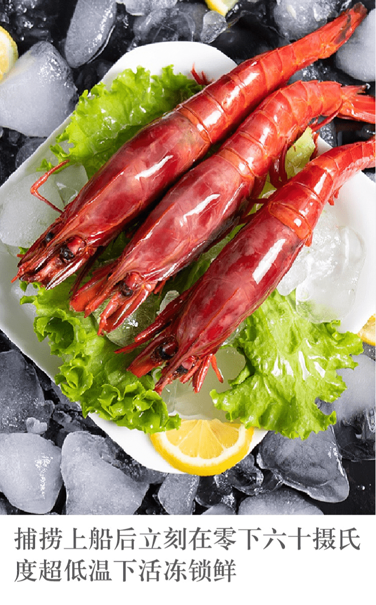 红魔虾特大鲜活刺身级低温甜虾莫桑比克甜虾刺身生吃海鲜500g1821cm