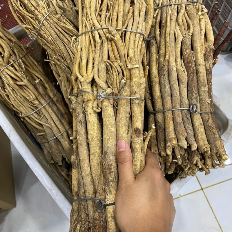 东北黄芪500g山黄芪大兴安岭黄芪东北特产1斤整棵