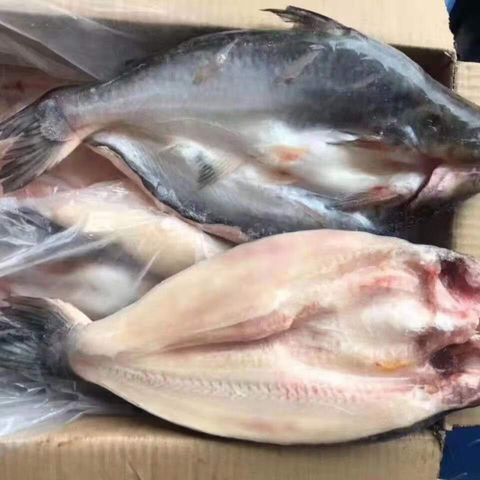 新鲜冷冻整条开背巴沙鱼湄公鱼龙利鱼开背净膛烤鱼速冻深海海鲜尝鲜1