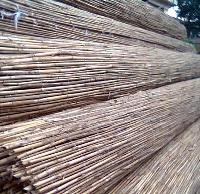 醉春木 定制芦苇杆 管子哨片 唢呐哨片 老芦苇 芦苇花 古典装饰材料