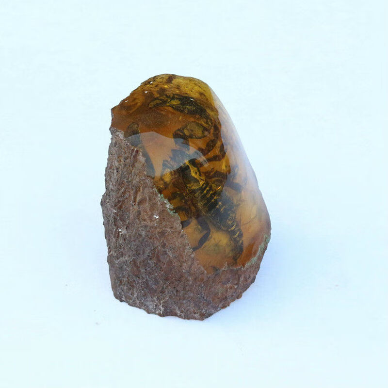 恋江南人工琥珀原石动物带虫虫子标本昆虫真虫虫珀人造蜜蜡摆件图片色