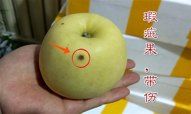 苹果表面凹凸不平图片图片