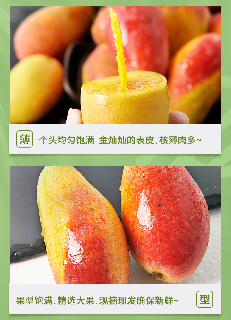 49db726af1cbbe78.jpg