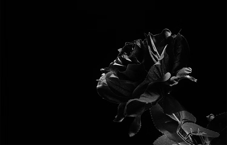 黑色仿真玫瑰花 黑暗jk写真拍照摄影道具 哥特黑玫瑰假花花束装饰