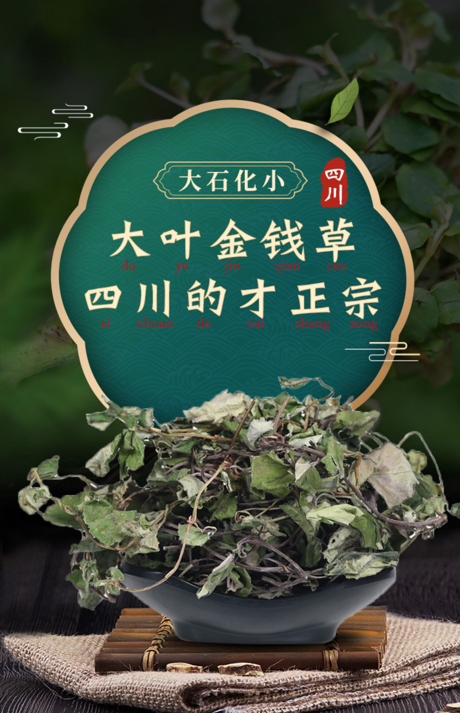 北京同仁堂四川野生大叶金钱草干草药中药金前草中药材茶过路黄500克