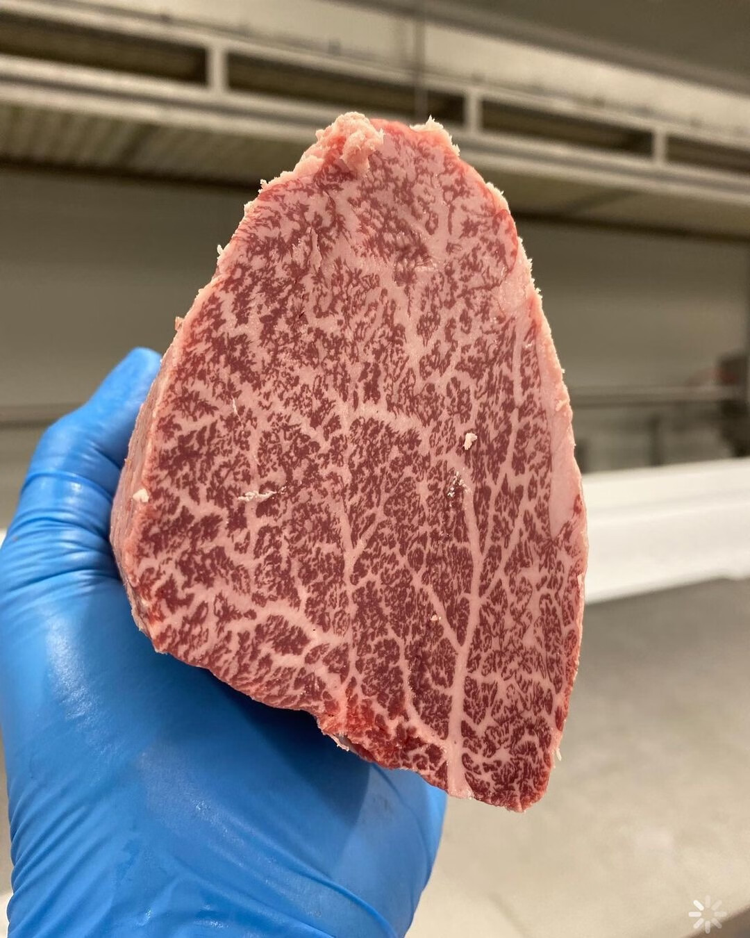 卡利安 500克澳洲m9纯血蓝标射和牛菲力牛排厚切清真媲美日本和牛