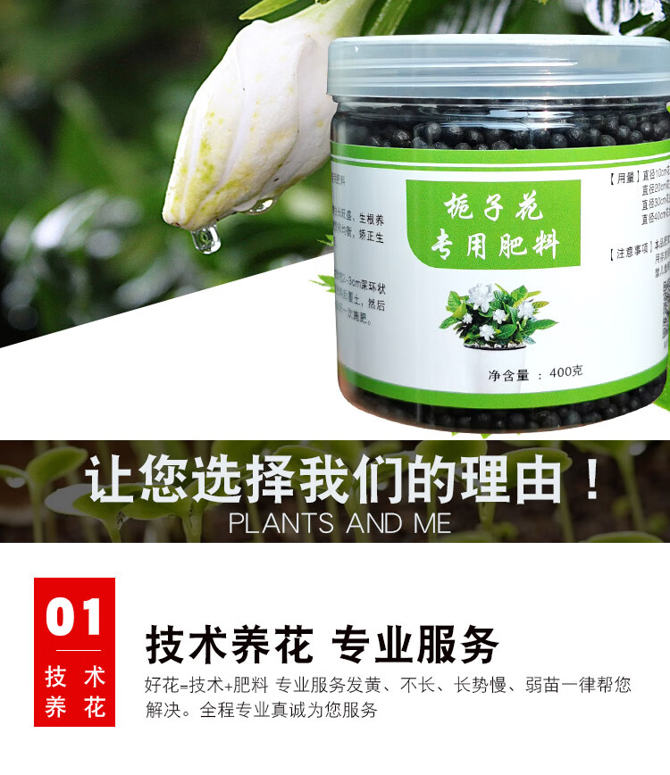 栀子花肥料有机花肥酸性防黄叶茉莉花盆栽花用补铁促开花肥料 磷酸二