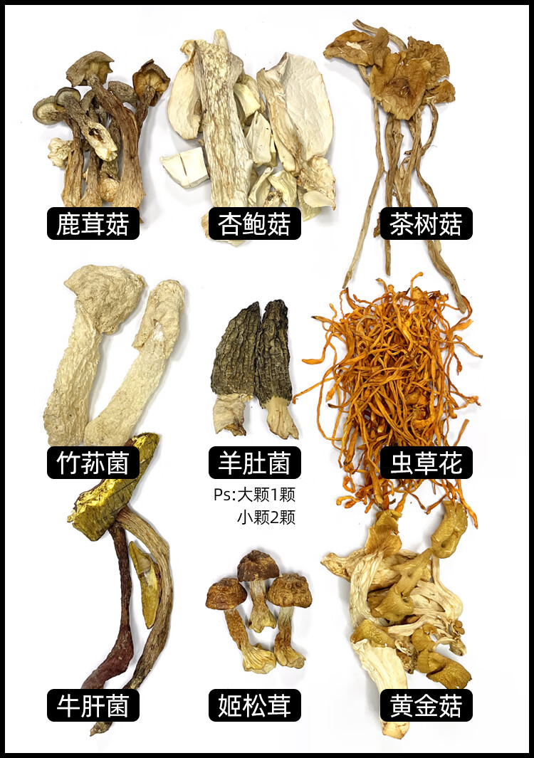 食用菌菇的名称和图片图片