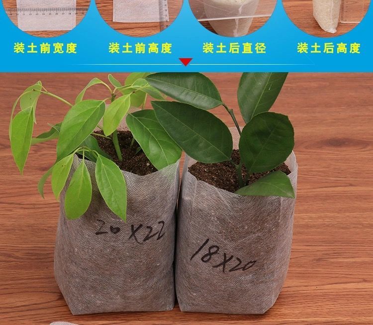 无纺布美植袋种植袋植树袋加厚果树种植育苗袋特大阳台种擞鼀z