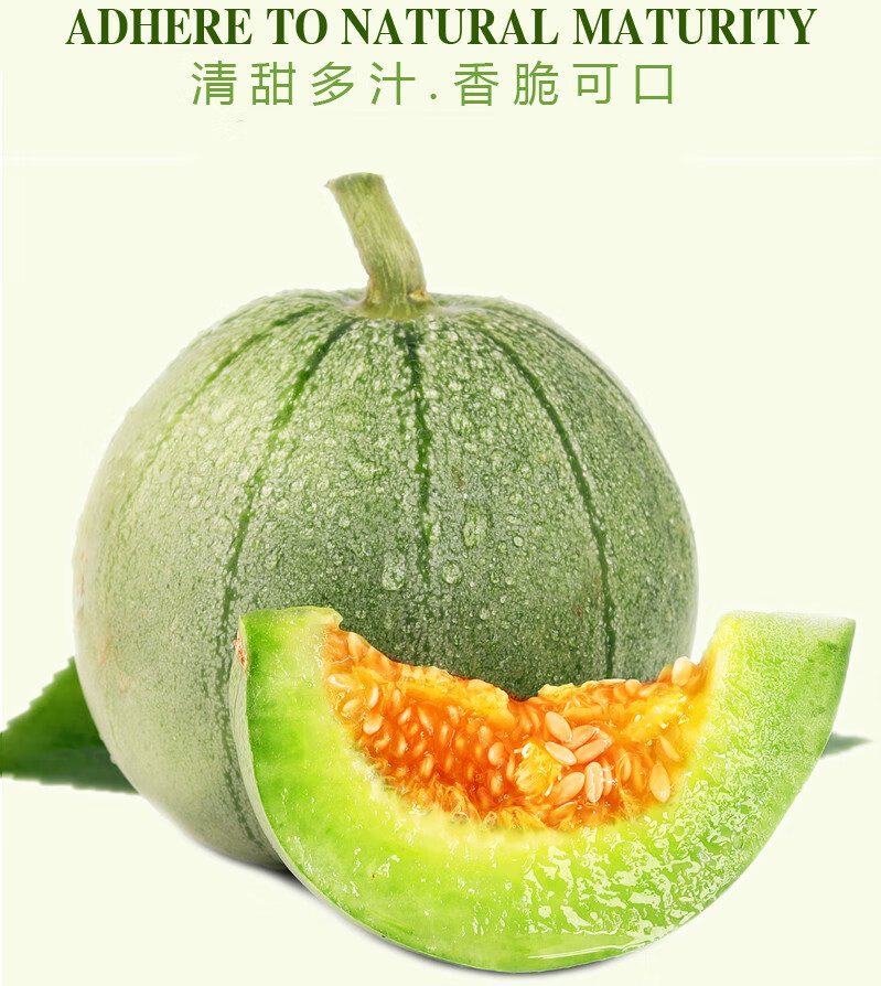 顺丰速发绿色食品认证山东绿宝甜瓜新鲜当应季水果脆甜蜜瓜精选头茬大