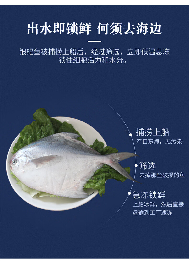 2斤4条特大银鲳鱼新鲜冷冻白鲳鱼冰冻昌鱼鲜活海鲜水产