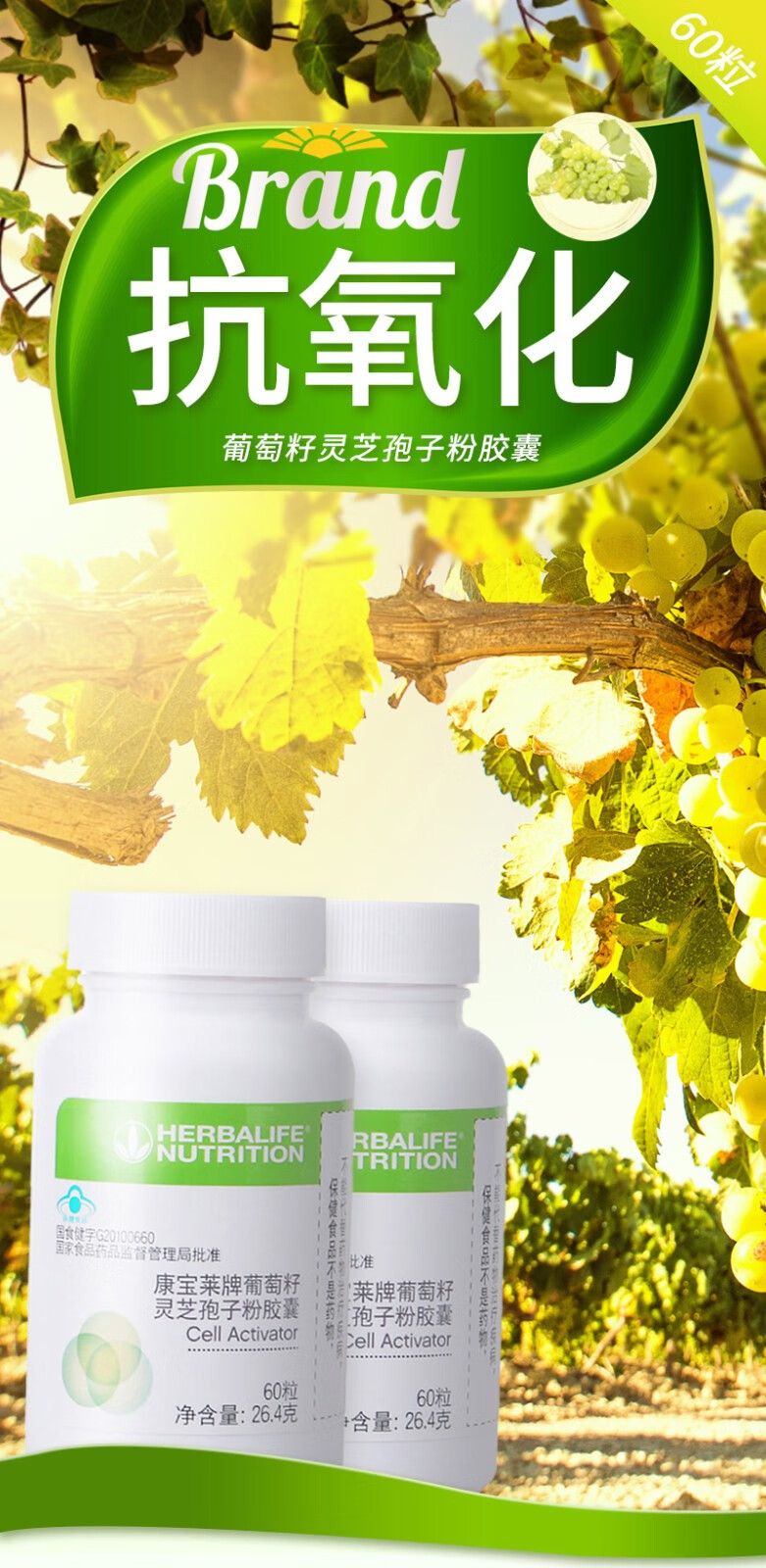 药房直售国产康宝莱牌葡萄籽灵芝孢子粉胶囊瓶60粒三瓶