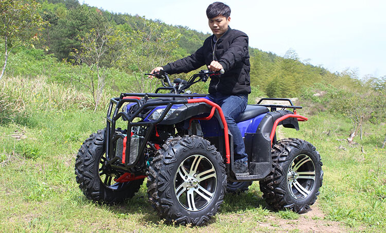 定製大小沙灘車四輪越野摩托車 全地形山地四驅軸傳動電動沙灘車 無極