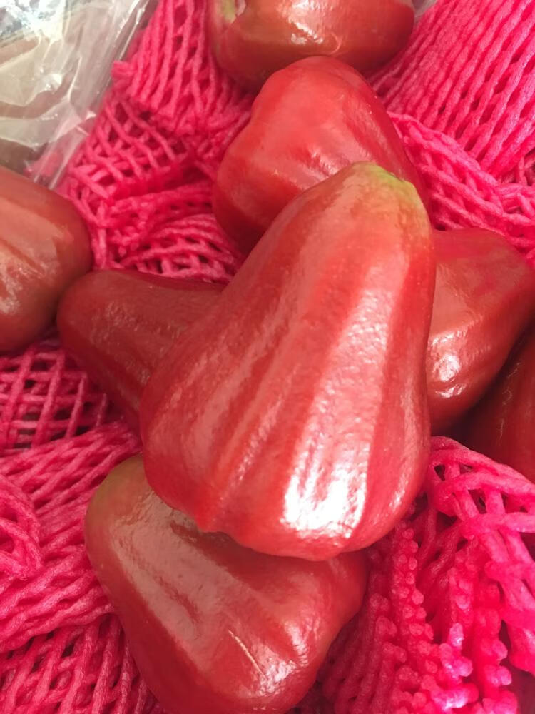 精品蜜风铃莲雾3斤整箱时令新鲜水果巴掌黑糖芭比黑顺丰【坏果包赔】