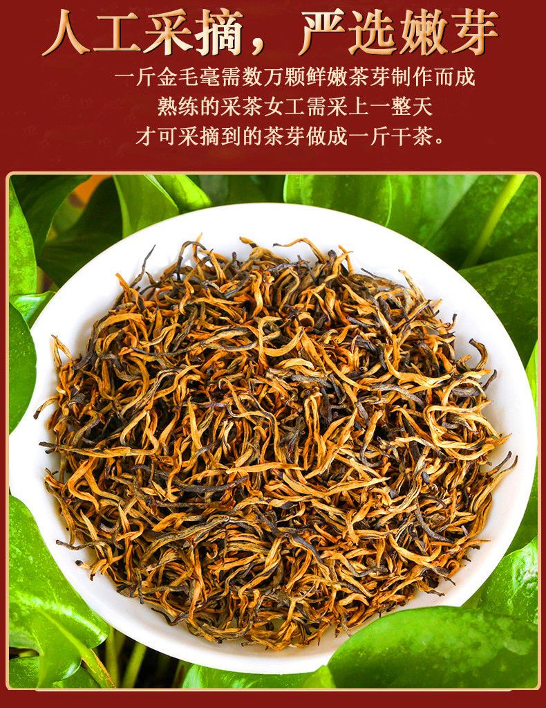 槿致 特级英红九号浓香型金毛毫高山老树茶新茶广东特产礼盒装 500g