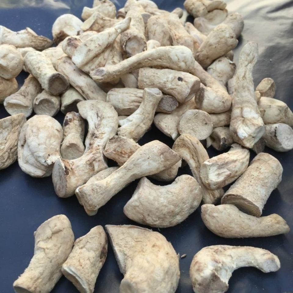 1斤野生山货双剪大香菇脚农家自制干货花菇腿包子饺子馅500g精品菇脚