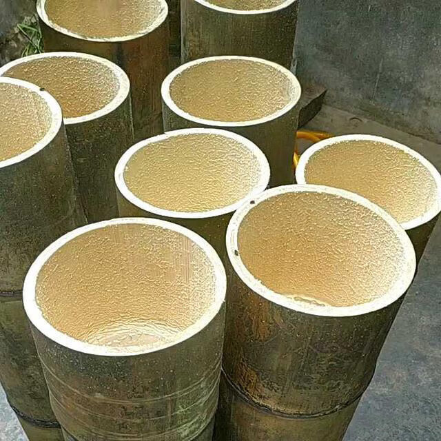 大型巨龙竹竹苗楠竹苗食用竹笋苗种植巨龙竹竹苗毛竹苗四季长青毛竹根