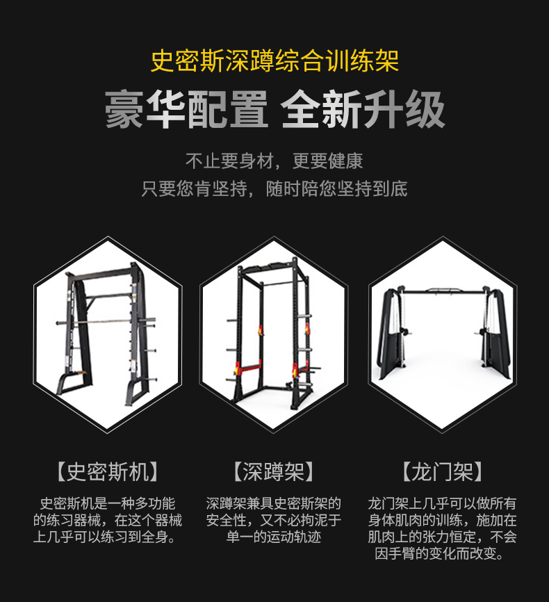 綜合訓練器健身器材家用多功能一體飛鳥龍門架套裝組合男運動器械三人