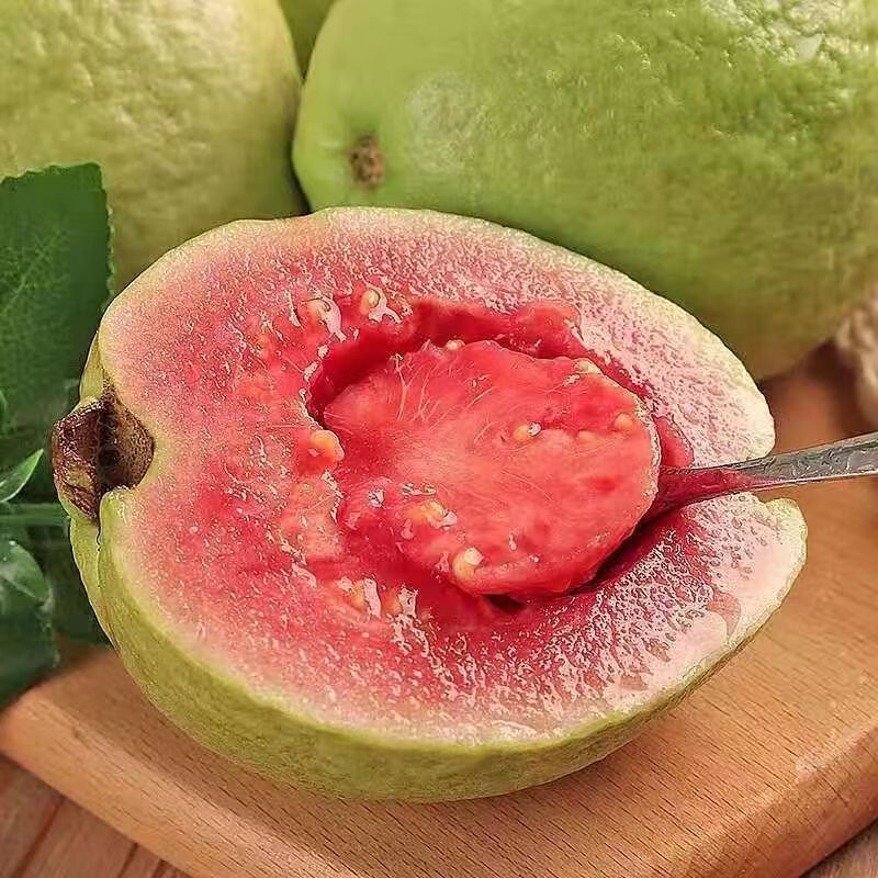 汕头当季水果胭脂红心芭乐番石榴新鲜香甜软糯5斤装现摘现发软糯香甜5