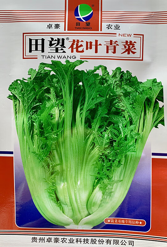 花叶芥菜种子大花叶青菜酸菜专用耐寒秋冬四季农家大田蔬菜种孑籽花叶