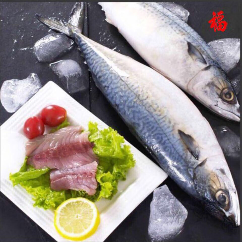 大连海鲜大鲅鱼鲜活冷冻品质优良马胶鱼冲量出售 4斤3条