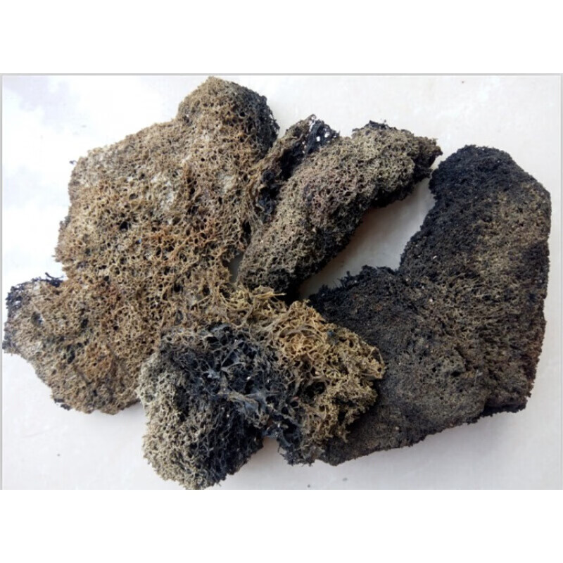 竹燕窝干货食用菌宜宾竹荪四川土特产燕窝500g