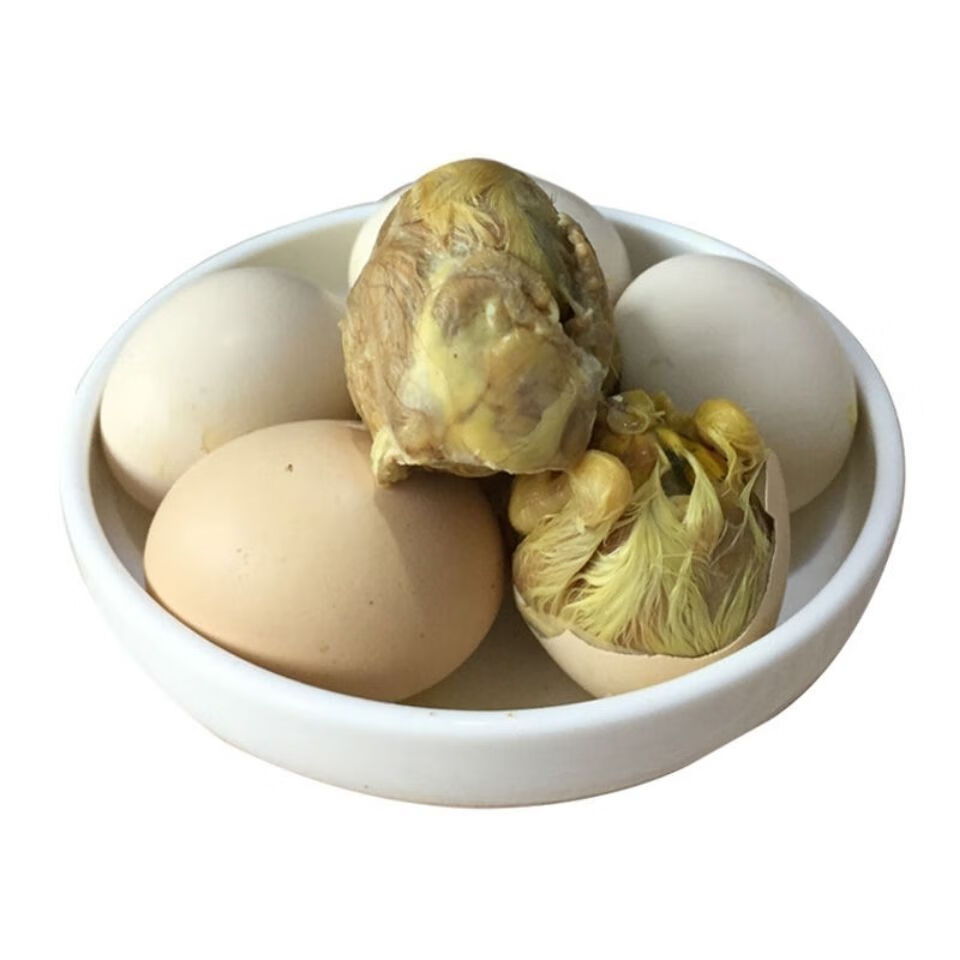 新鲜毛蛋生毛鸡蛋1921天鸡胚蛋喜蛋旺鸡蛋实蛋10只装1921天大毛