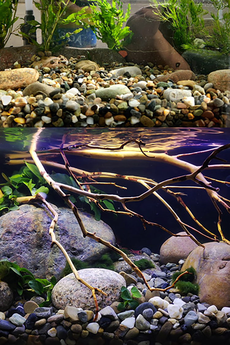 南美造景鱼缸底沙热带雨林沙沙大矶沙溪流砂鼠鱼雷龙沙化妆沙 中国红