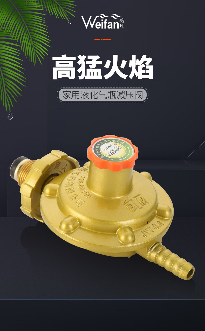 如桃液化气减压阀家用稳压低压阀煤气阀门钢丝燃气管天然气燃气灶配件