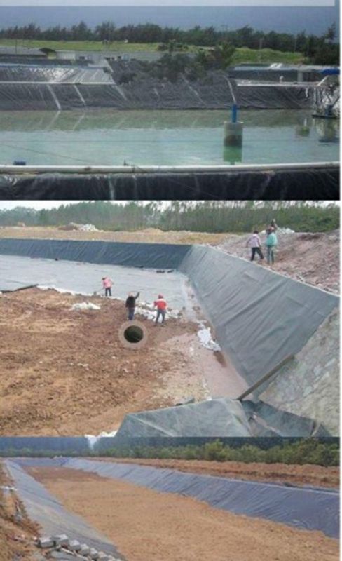 40s鱼塘防漏专用膜30加厚水池围边护坡膜黑塑膜水产养殖膜防水布40s