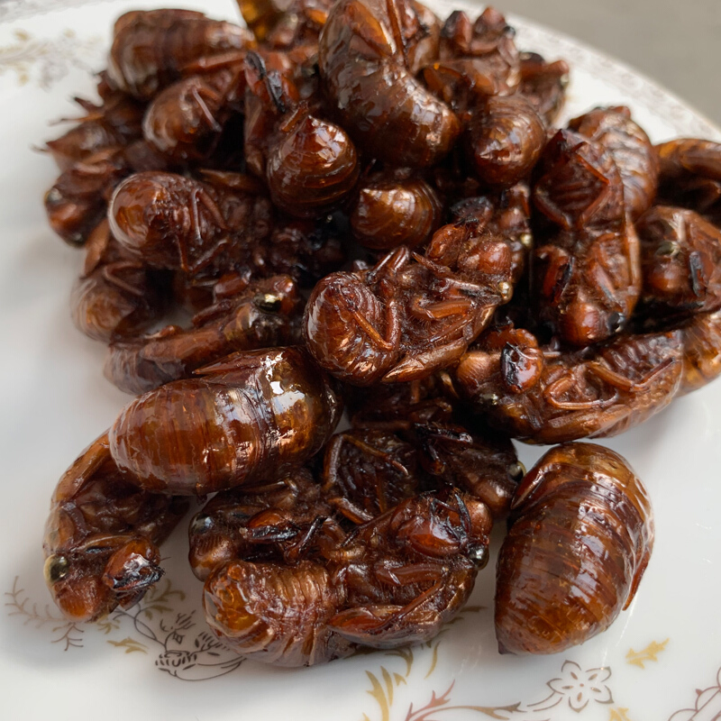 【开袋即食】油炸知了猴昆虫金蝉熟知了龟唐僧肉蝉蛹椒盐20只