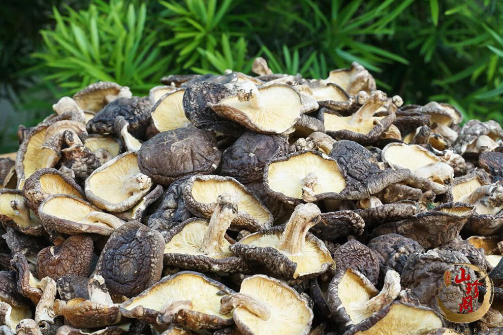 福建三明建宁土特产干货椴木香菇蘑菇菌500克