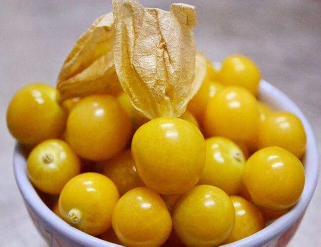 东北黄姑娘果灯笼果洋菇娘甜菇凉果时令当季新鲜水果 生鲜年货 1500g