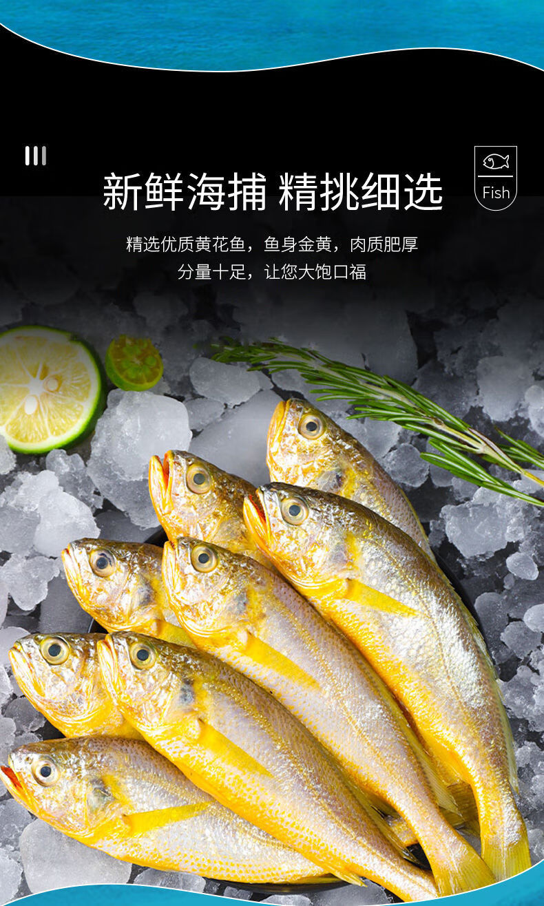 野生海捕新鲜冷冻小黄鱼黄花鱼烤小黄花鱼烧烤食材海鲜6斤装特大号