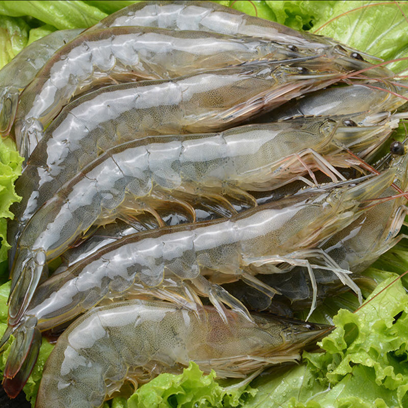 青岛大虾整箱4斤 鲜活速冻海鲜特大冷冻基围虾鲜虾海虾对虾青虾箱