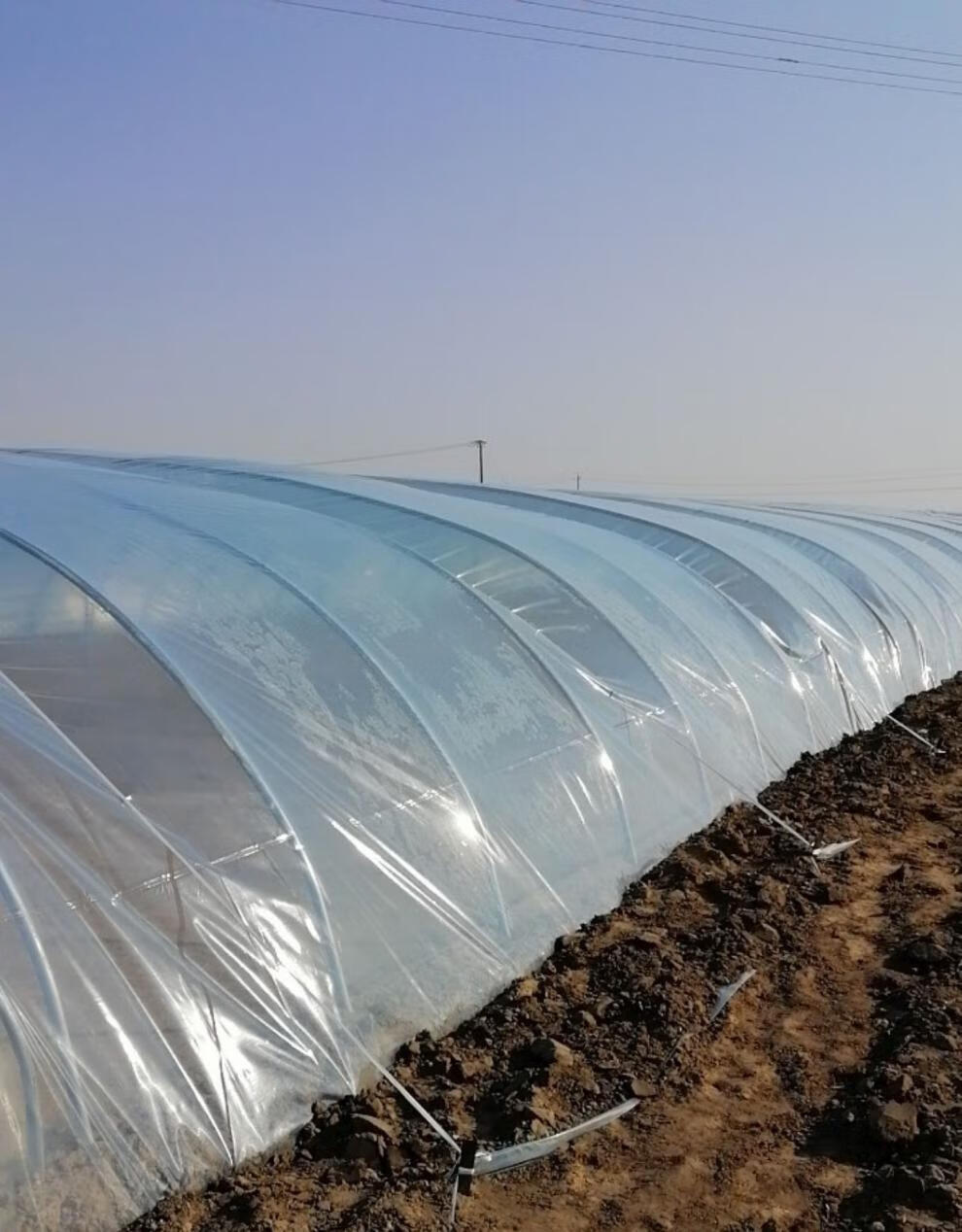 园艺温室大棚配件压膜线吊绳白色压膜绳压膜带促销价2o白色涤纶300米