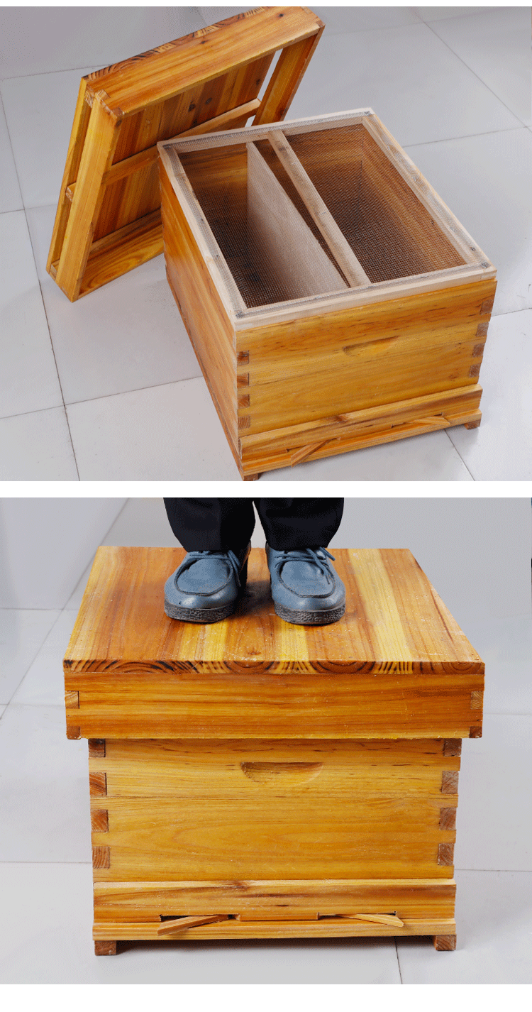 蜜蜂蜂箱成品中锋蜂箱养蜂器具蜜蜂工具蜂桶养蜂箱意蜂分蜂器小蜜蜂