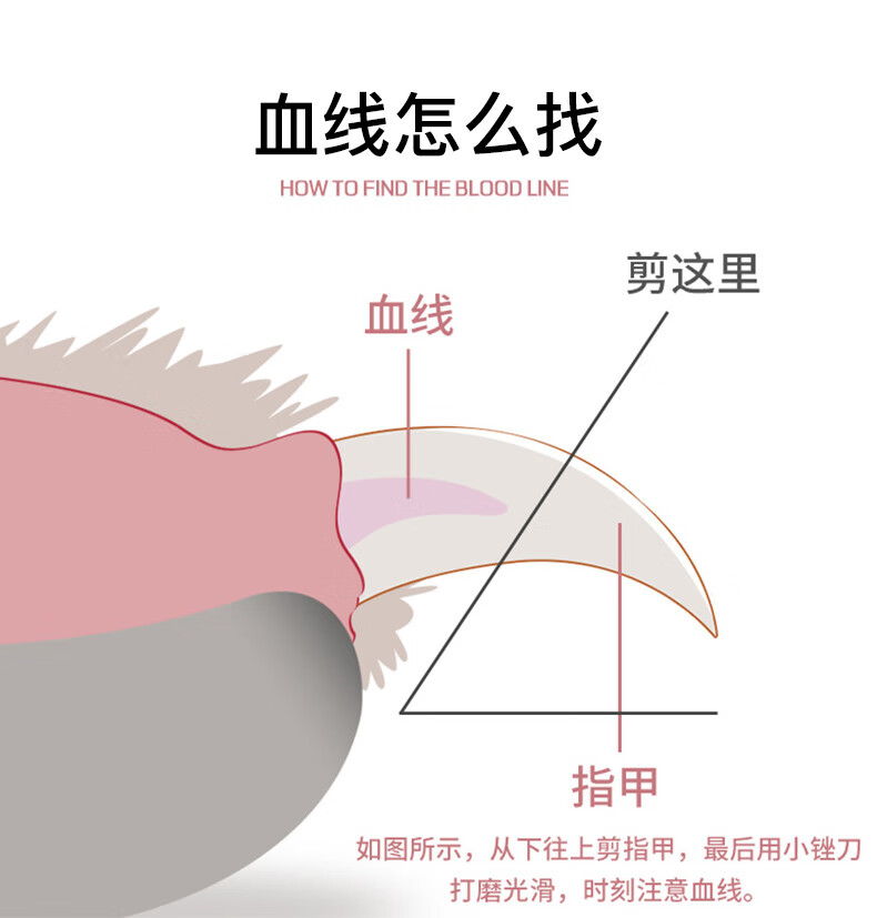 【京选推荐】猫指甲剪猫咪指甲刀专用新手照血线指甲钳神器狗狗兔子